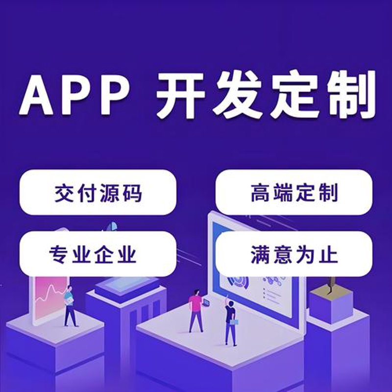 系统定制：企业信息化建设的智慧之选