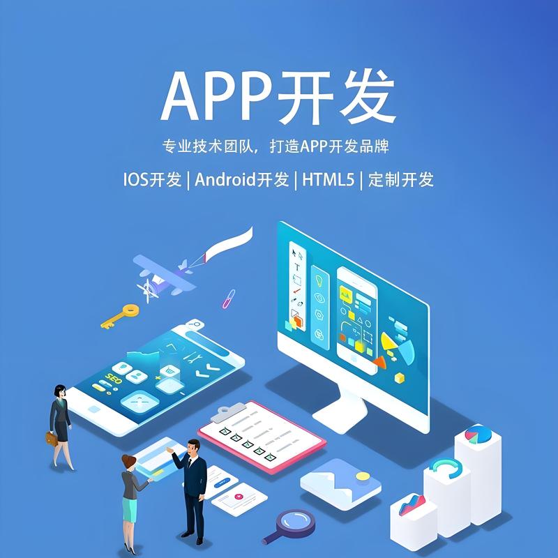 系统定制
